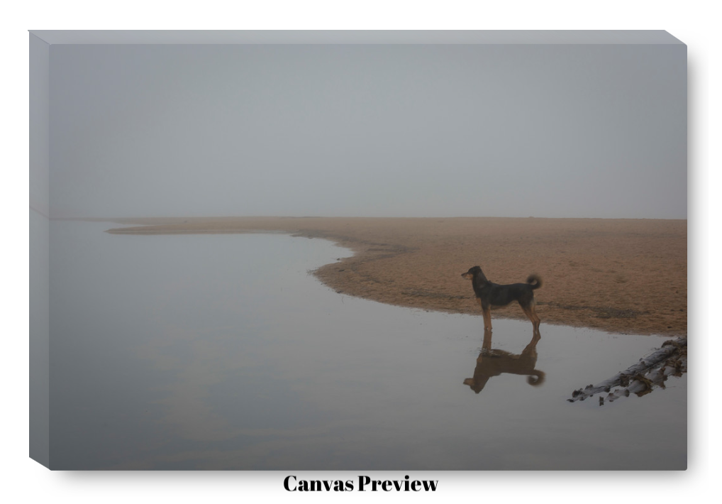 Screen Shot 2017-12-07 at 4.18.26 AM.png