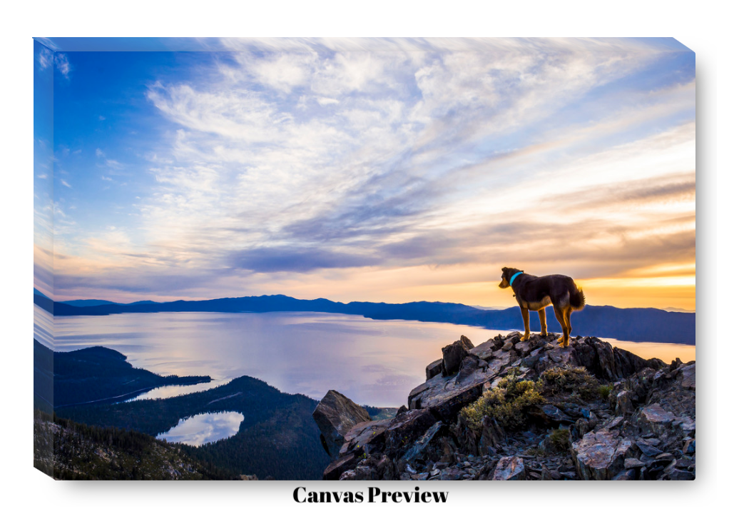 Screen Shot 2017-12-07 at 4.13.20 AM.png