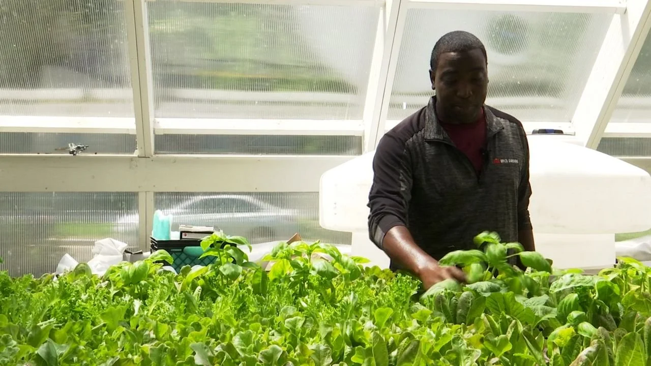 Checking in With a Flywheel Alumni Who is Literally Growing 