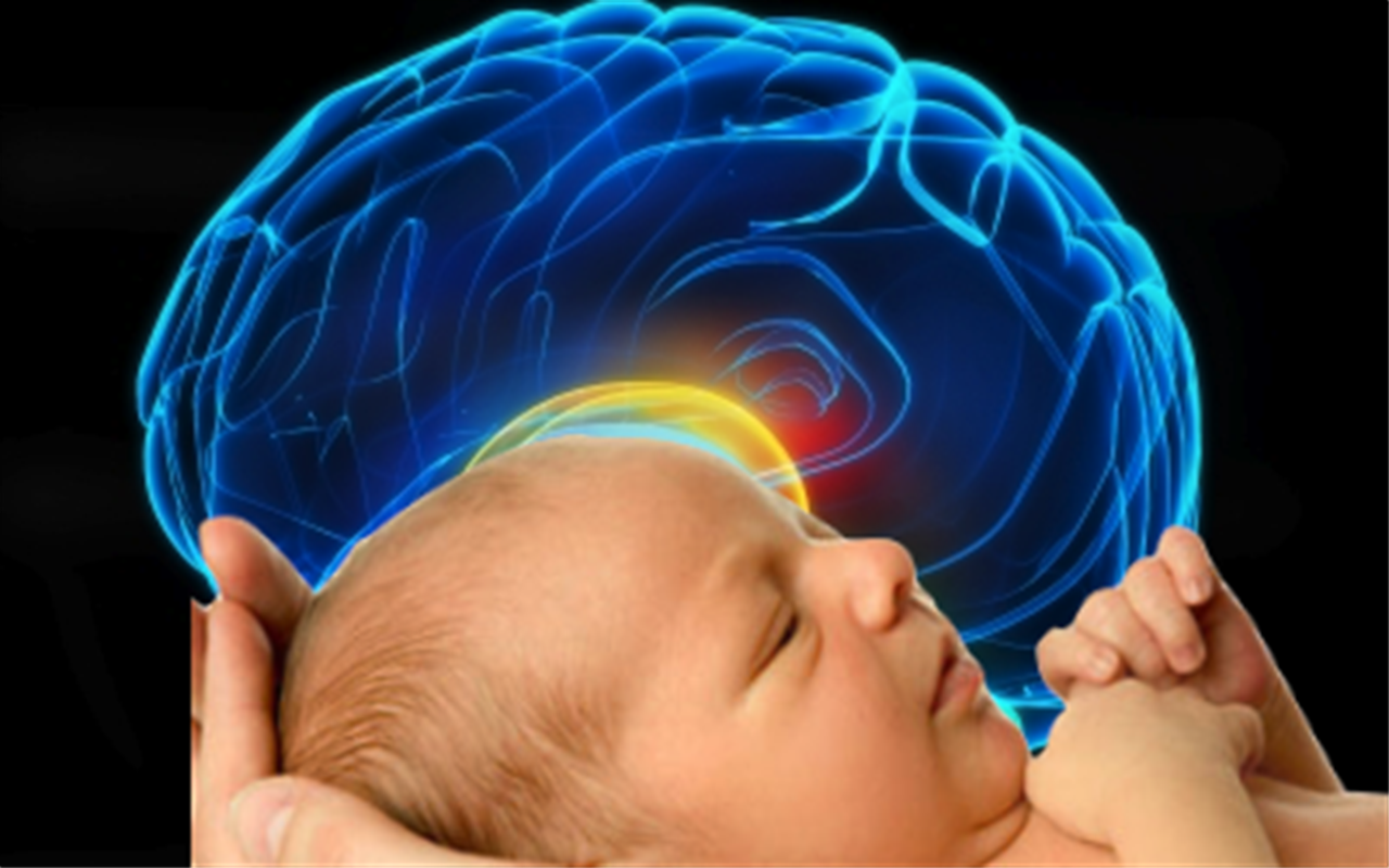 Поражение мозга у новорожденных. Мозг ребенка.