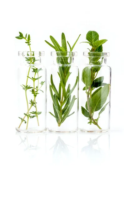 botanicals.jpg