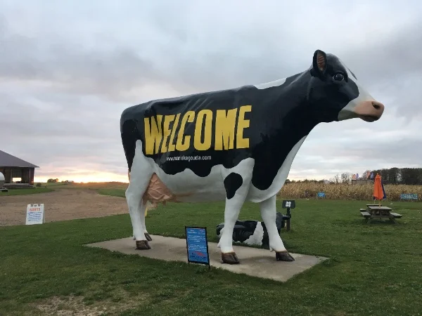 Pleasant Ridge Reserve