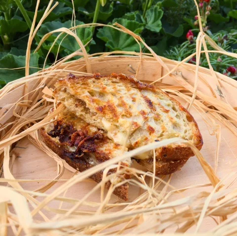 Epic Grilled Cheese: Fall Edition