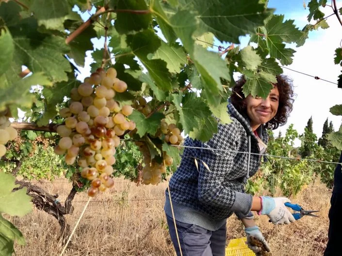 Cinzia hard at work.