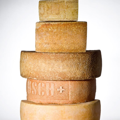 Columbia Cheese Tasting 