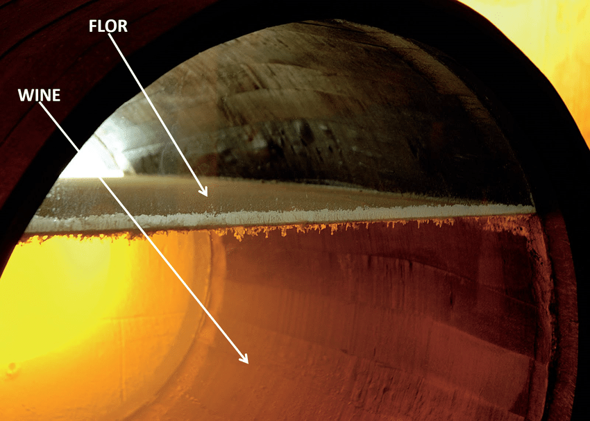 Sherry during the aging process.