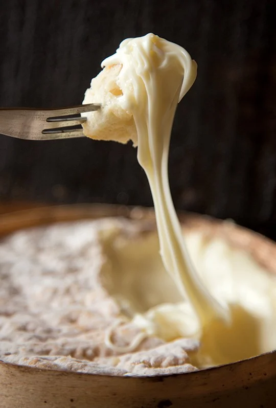 Photo credit: https://culturecheesemag.com
