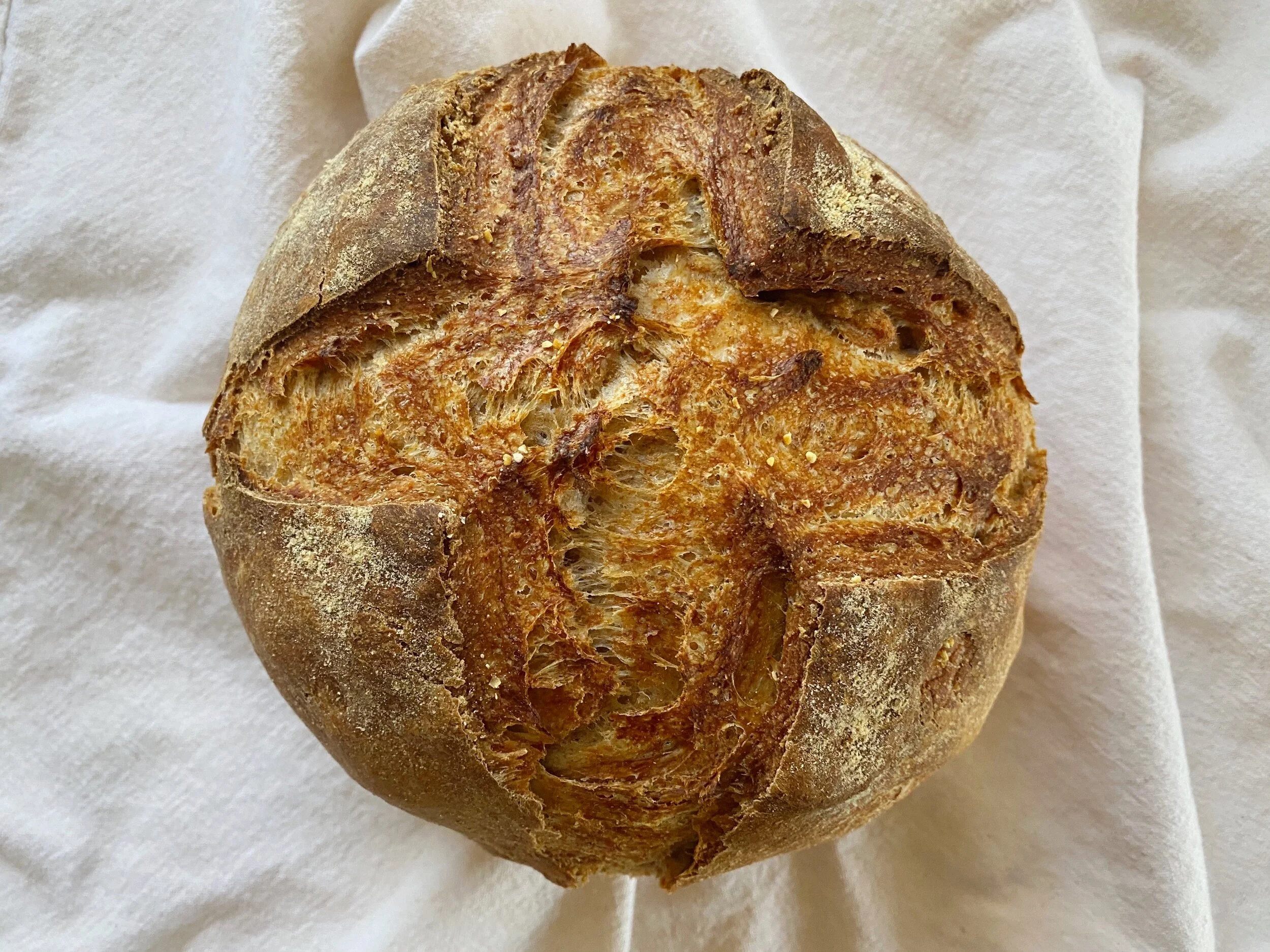 Best cheeses to shmooosh on bread