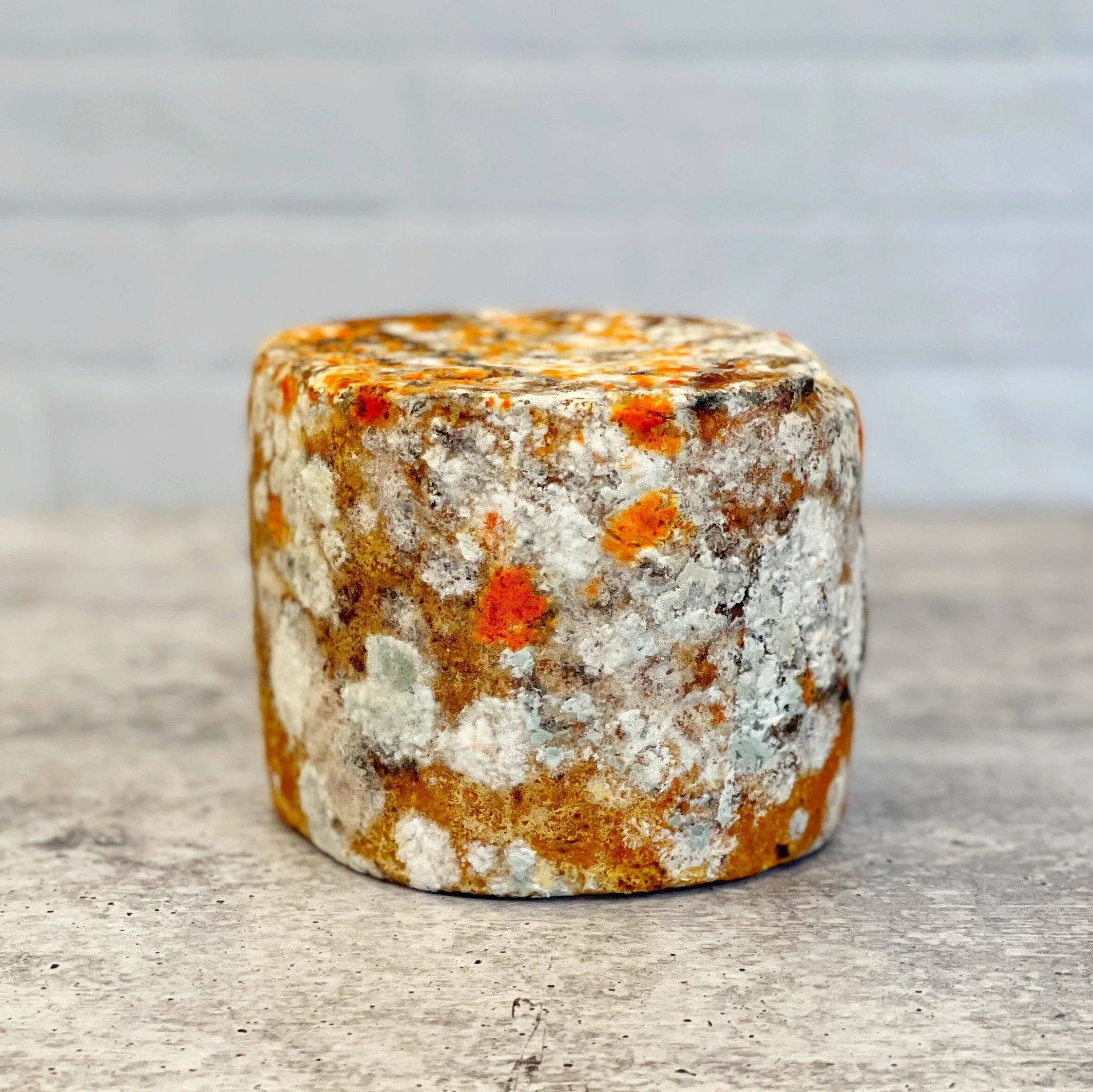Tommette Brulée, So Hot Right Now