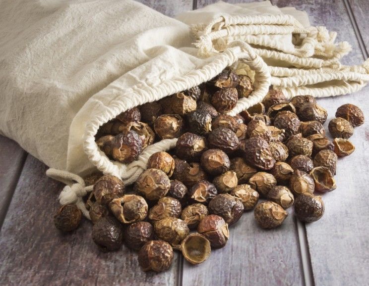 Copy of Soapnuts
