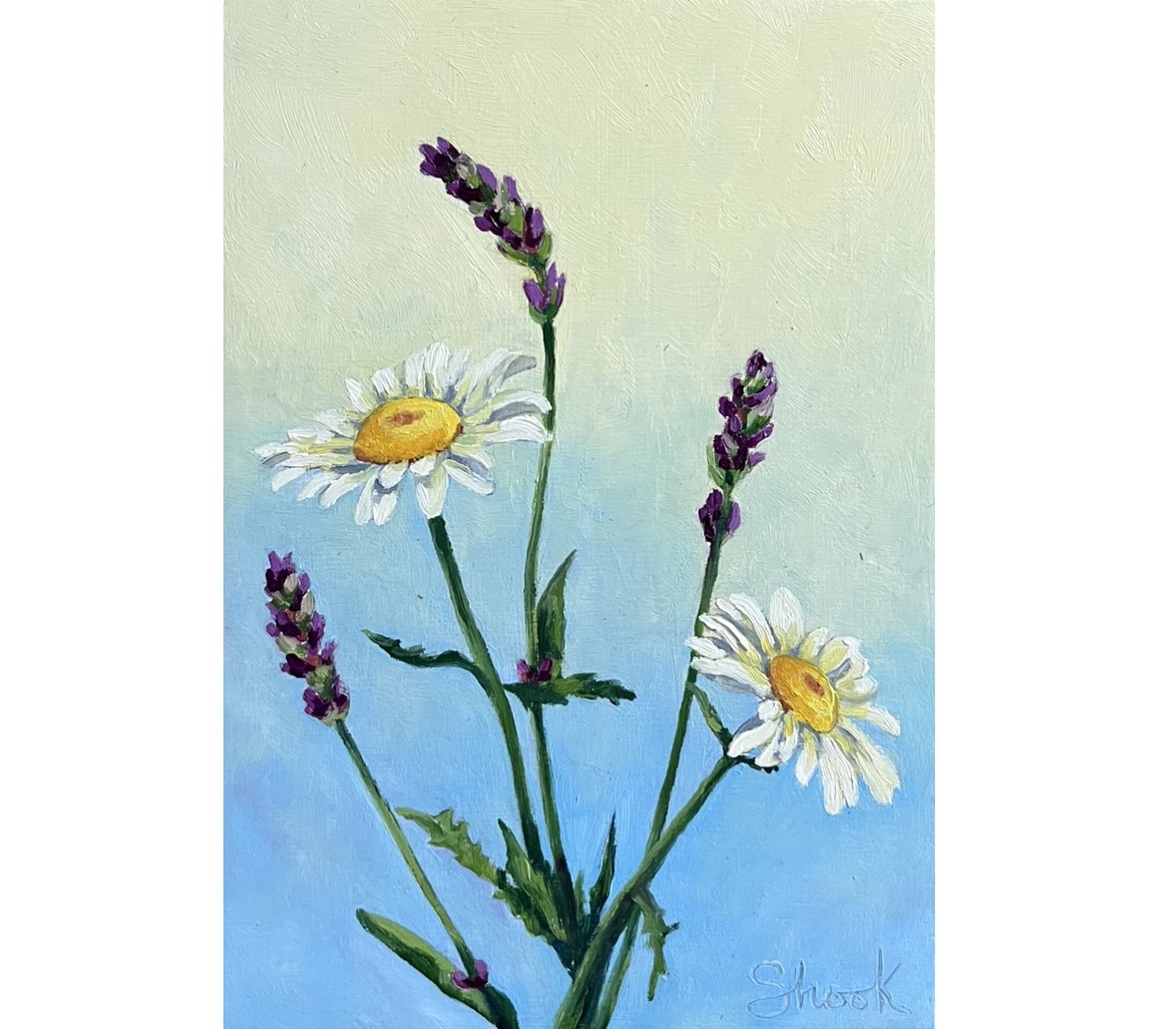 Lavender and Daisies - 5"x7" - SOLD