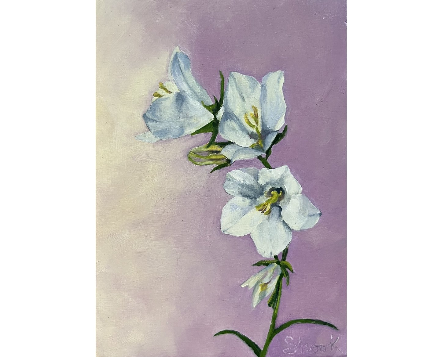 Bellflowers - 5"x7" - $165