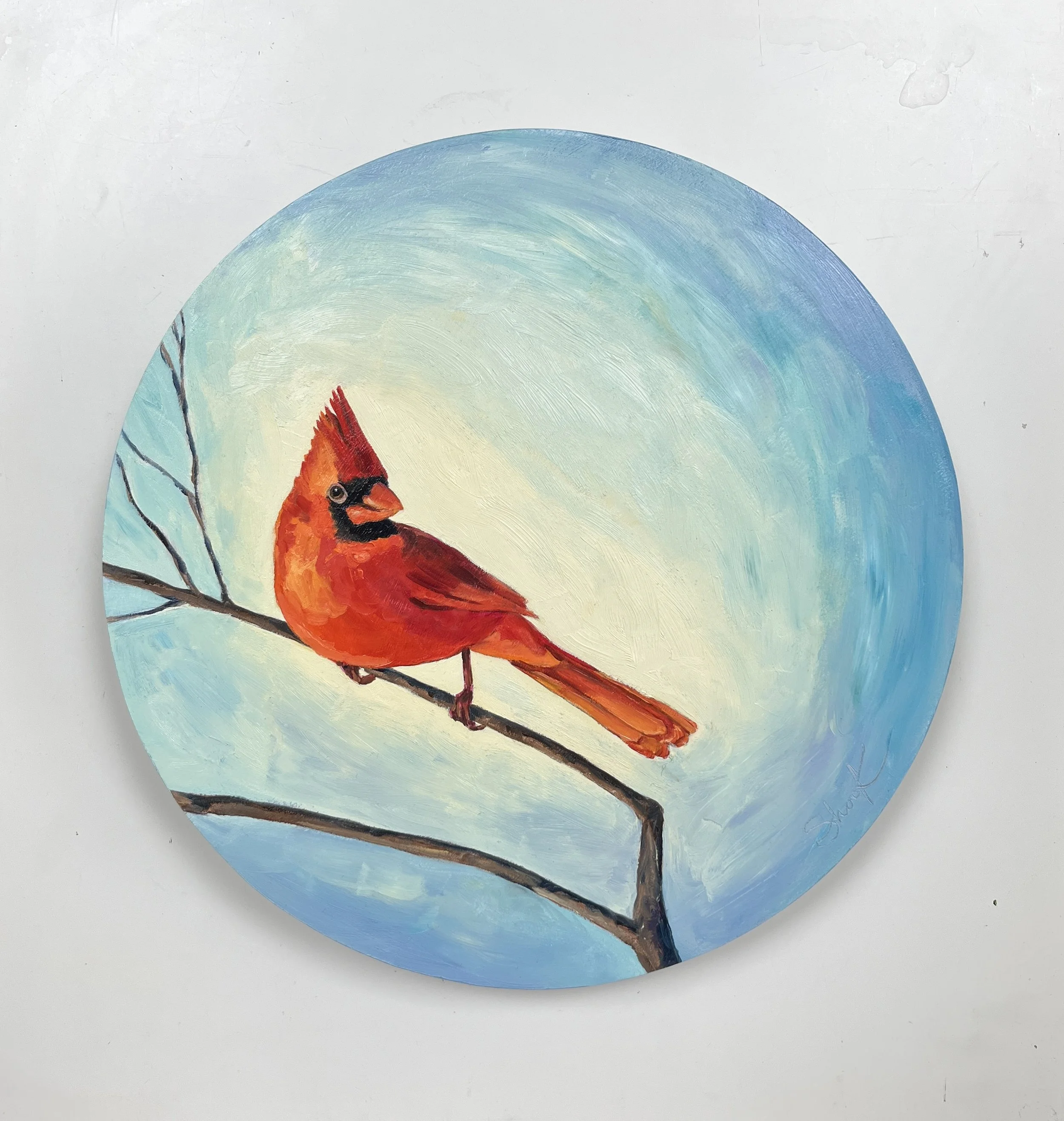 Cardinal in the Round - $250 - 12"