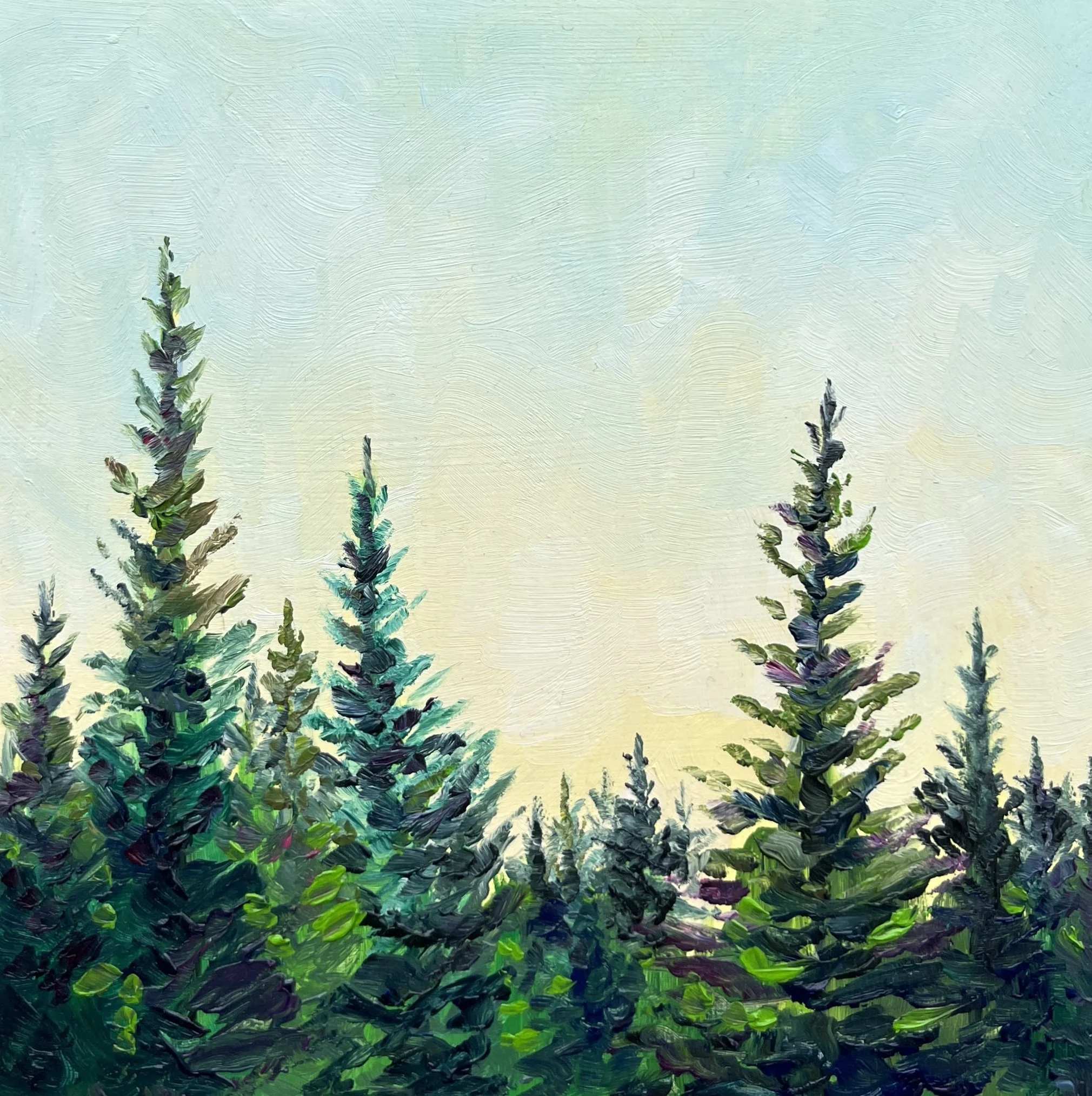 Tree Tops in Gold - $165 - 6"x6"