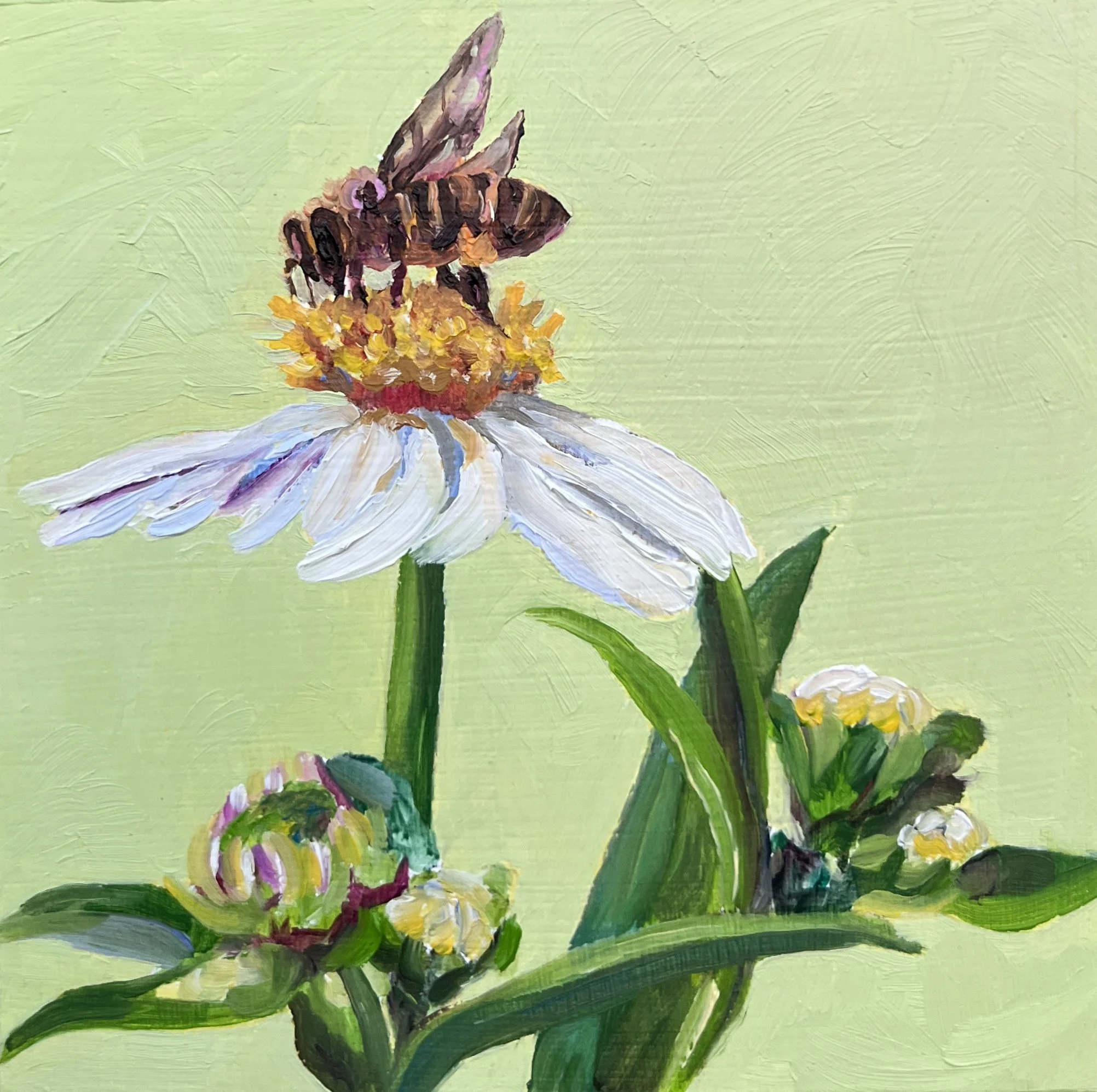 Hello Honey - $95 - 4"x4"