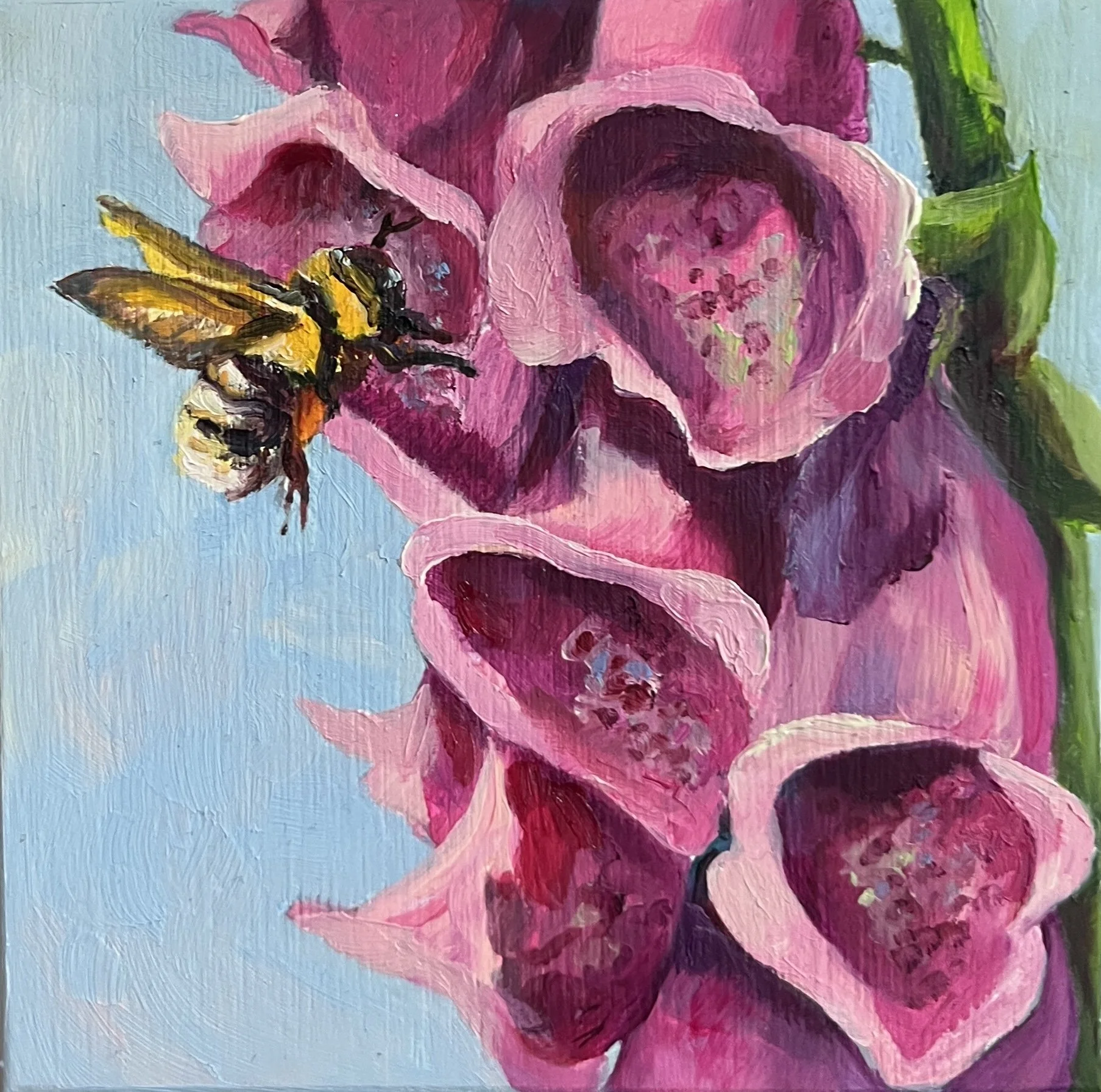 Finding Foxgloves - $95 - 4"x4"