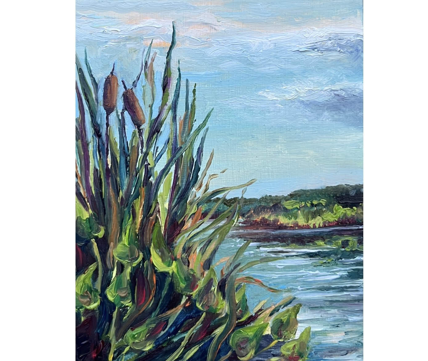 Cattails - $125 - 4"x5"