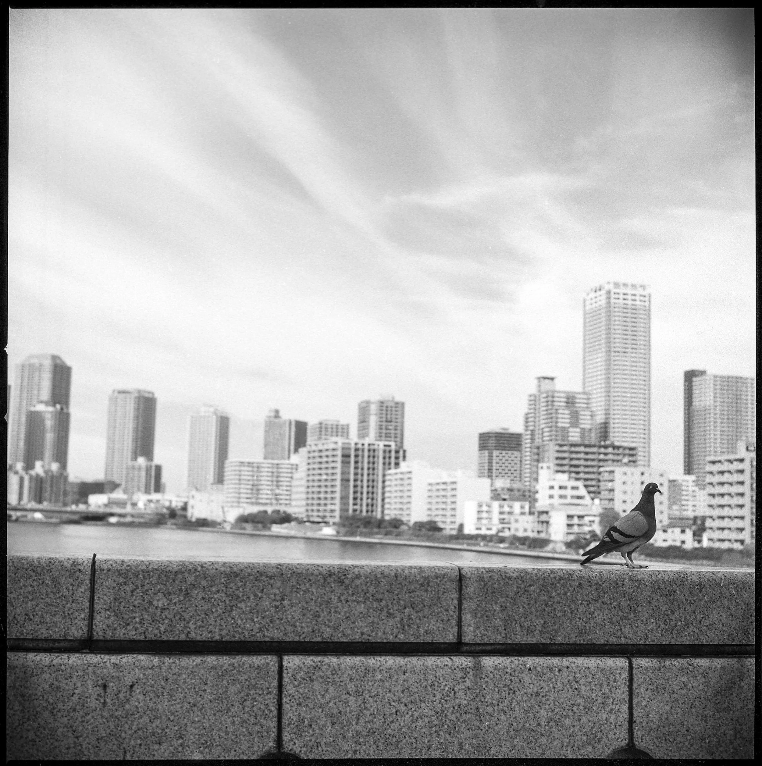 Taken on Ilford FP4 by Zane Allen