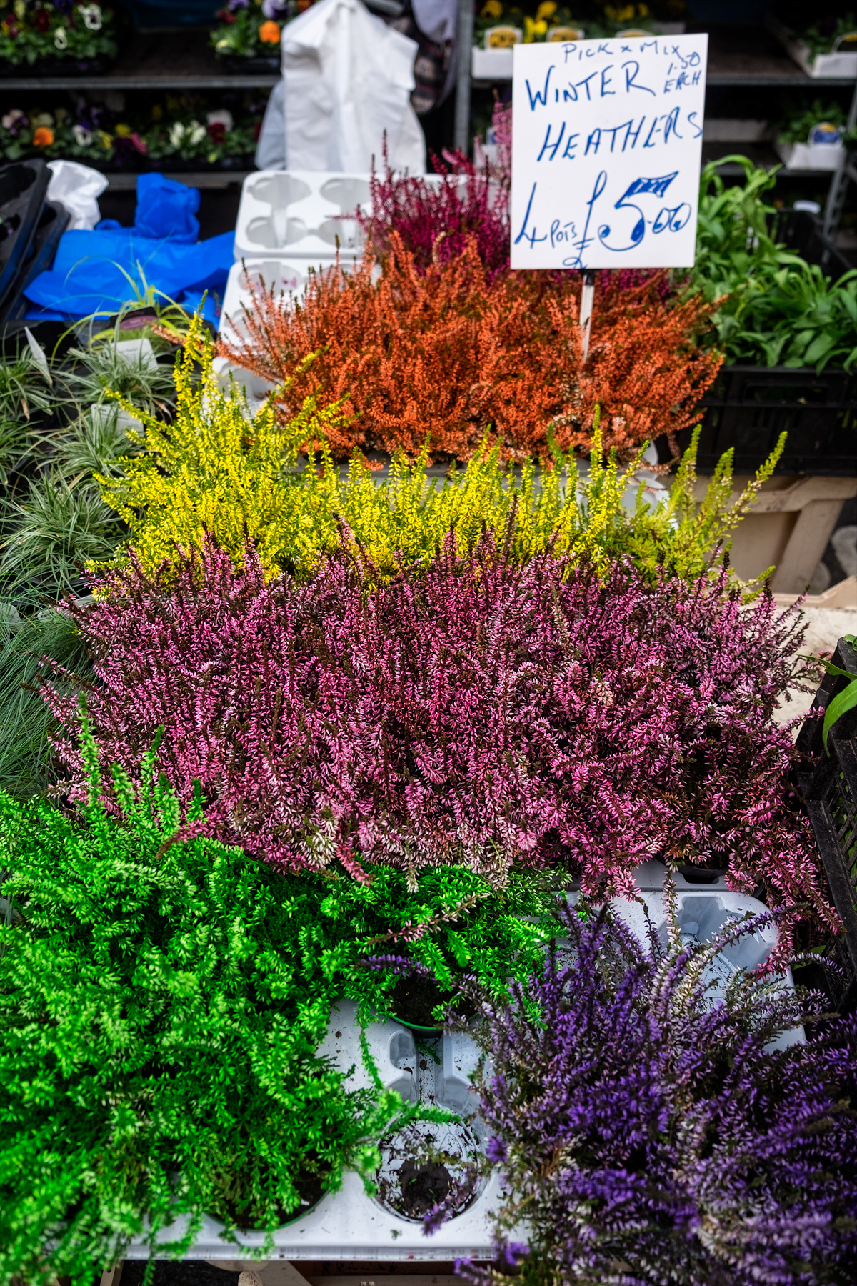 Flower Market