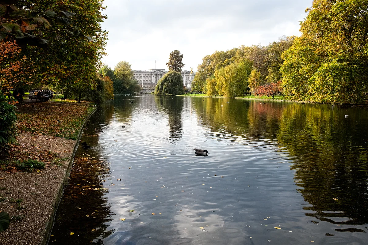 parcul Saint James, de lângă Palatul Buckingham