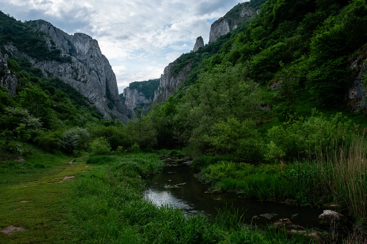 05 - 06 Ch Turzii-029-Edit.jpg