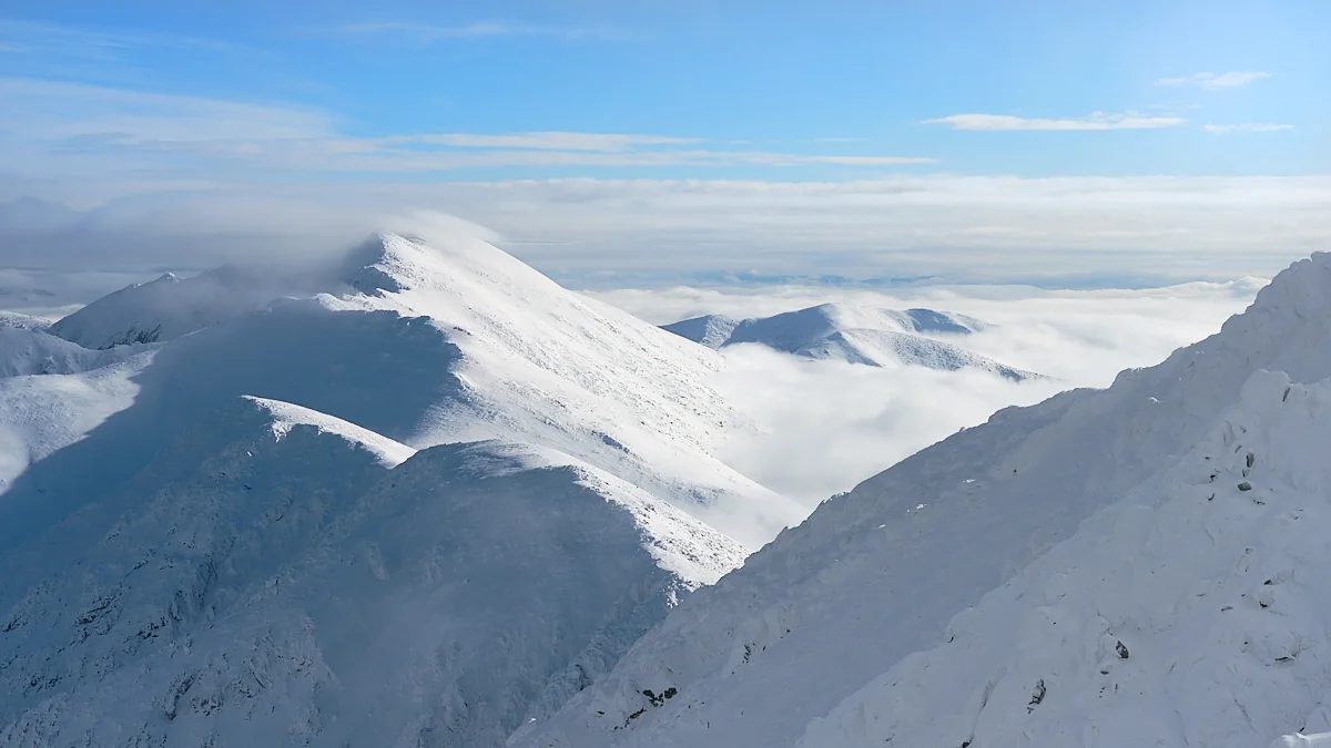 DSCF151120.jpg