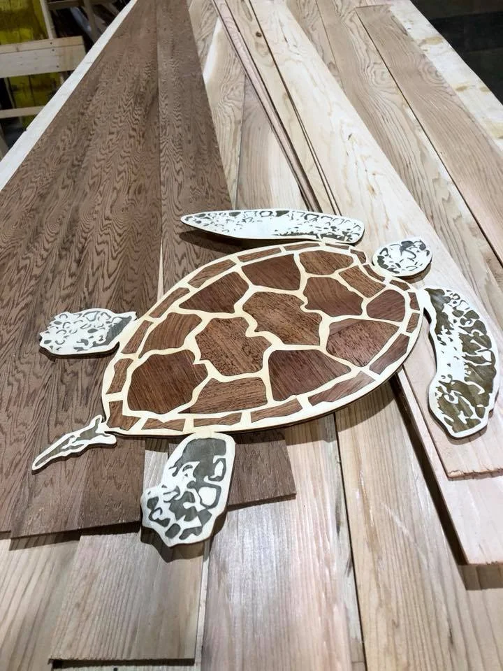 turtle-burn and cut.jpg