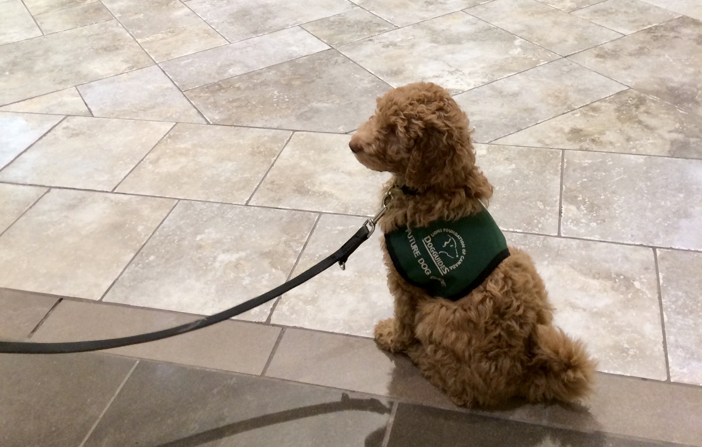 Xila's first visit to the mall at 9 weeks.