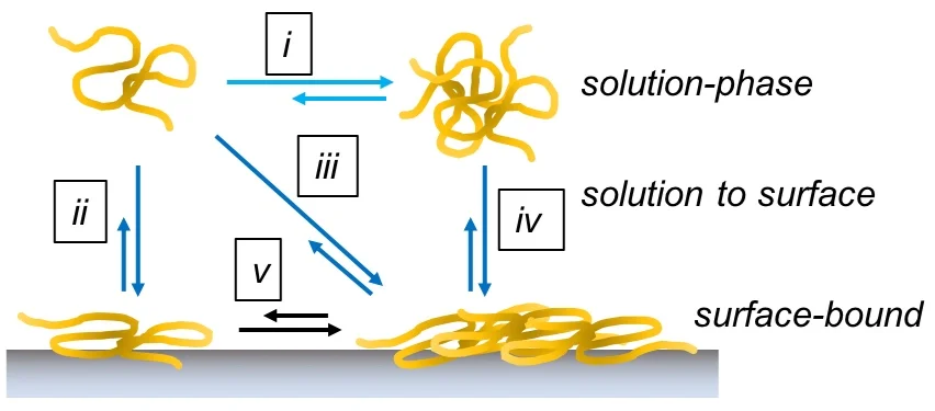 Fig2.jpg