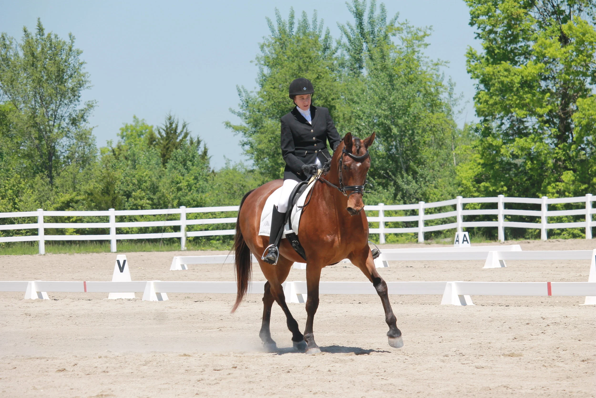  Laurie Ryan, Willard MO and Manchet Montana at the May Longview show photographer: Kaitlyn Schwers    