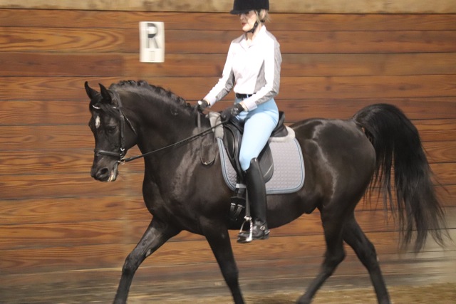 Betty Keating and her horse, Qahtahn, at a Betsy Steiner Clinic