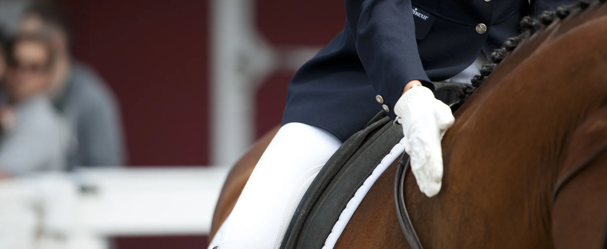 dressage-header1.jpg