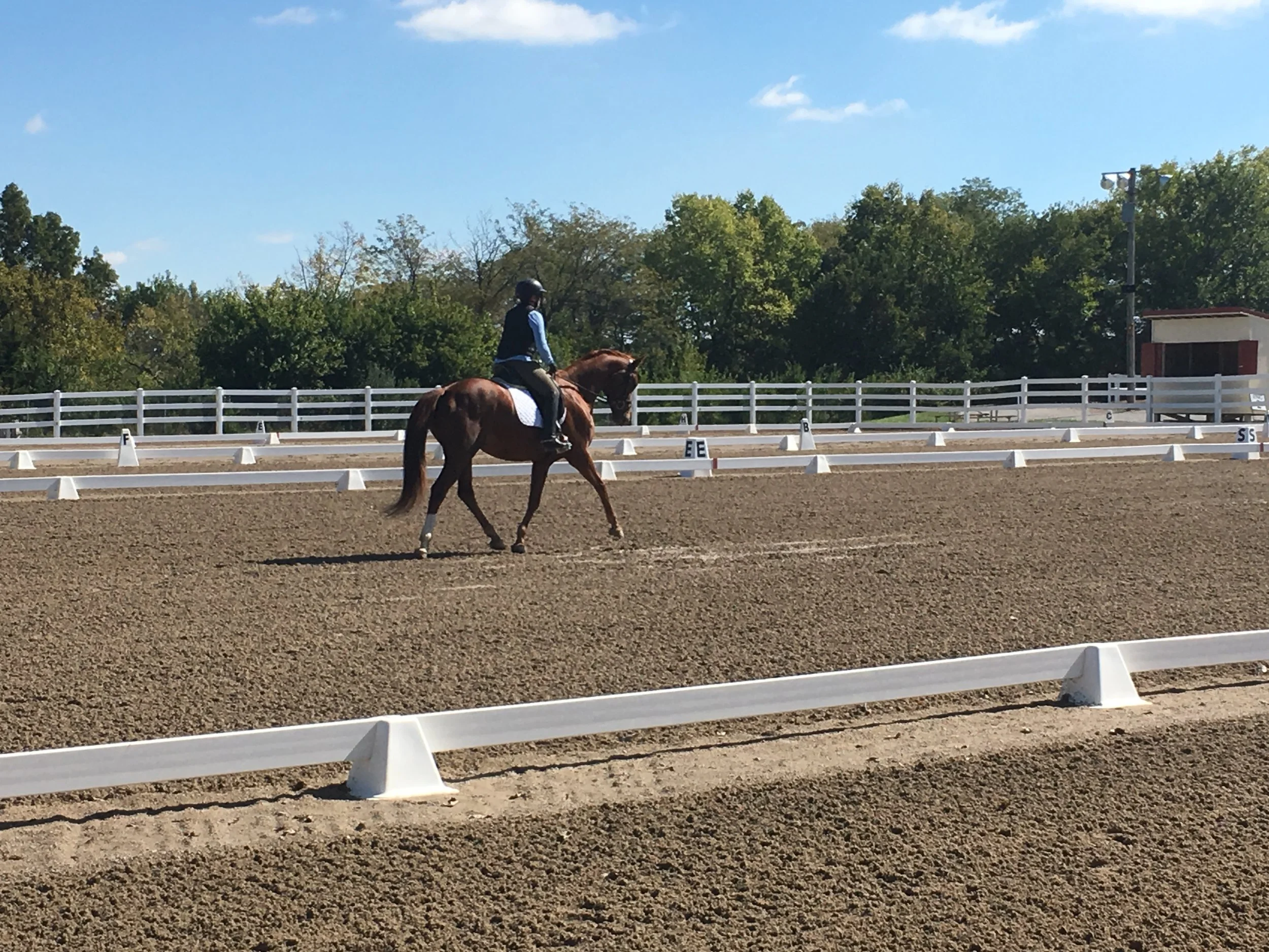 October 2017 KCDS Schooling Show