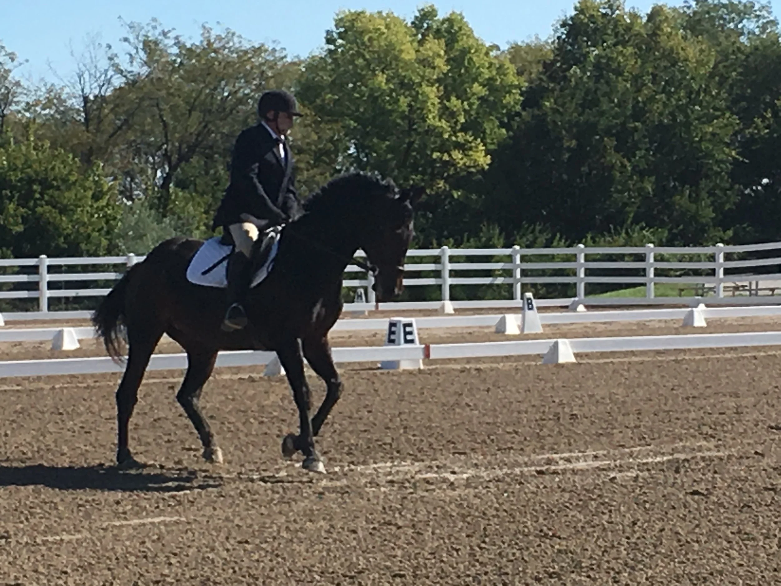 October 2017 KCDS Schooling Show