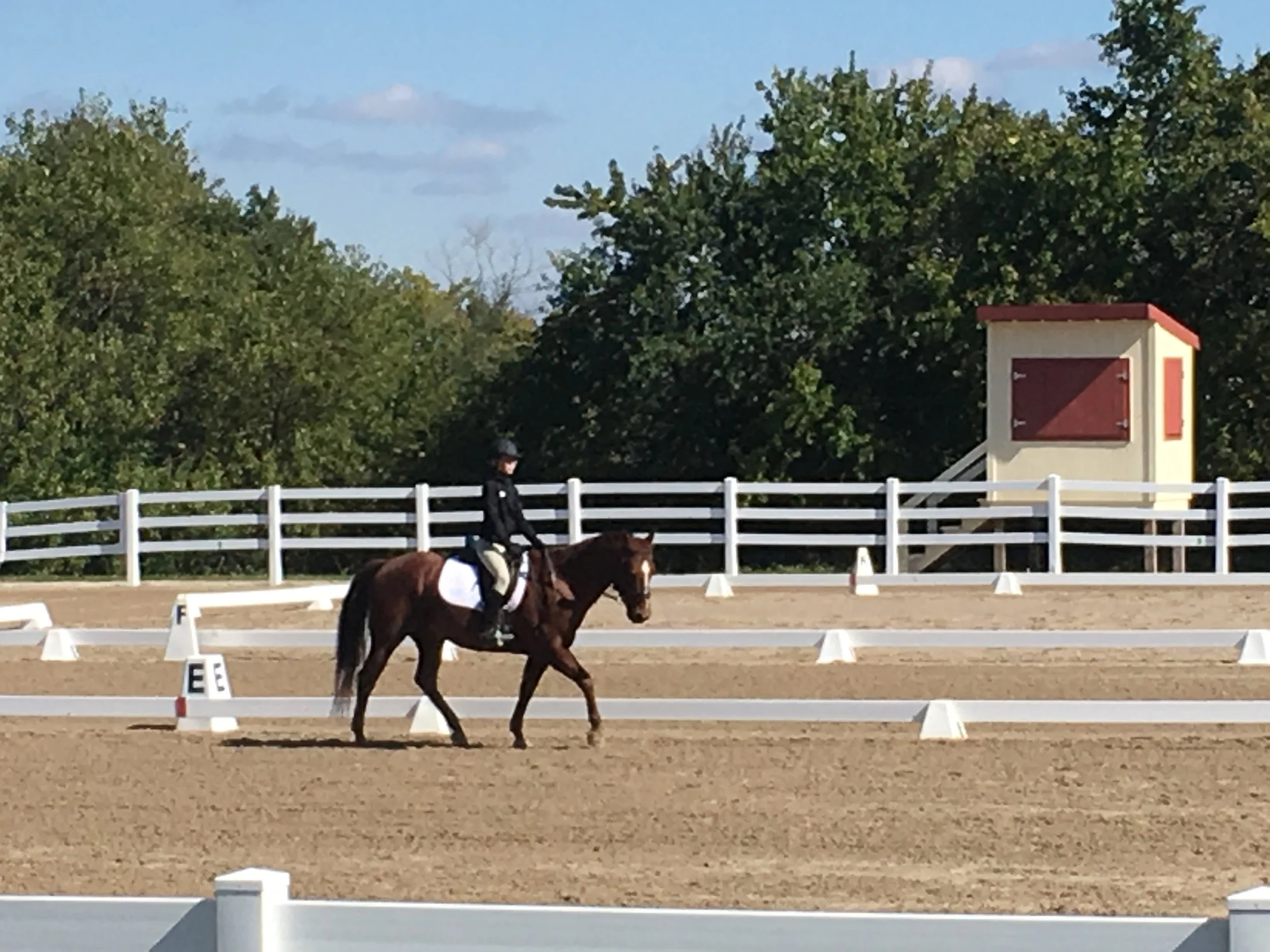 October 2017 KCDS Schooling Show
