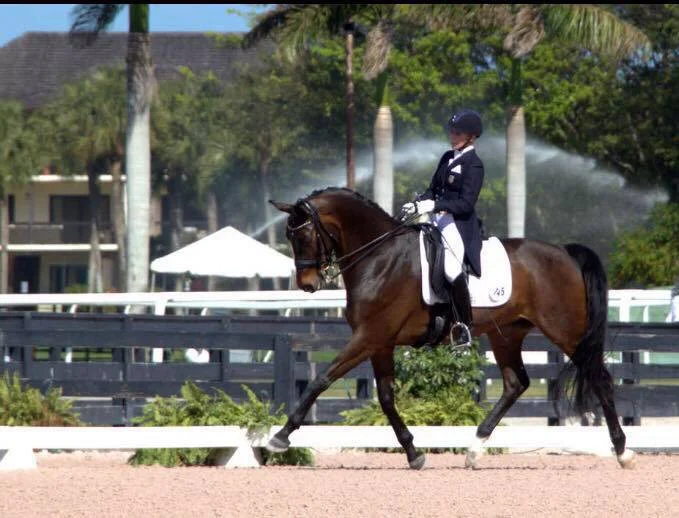 Betsy Steiner Clinic