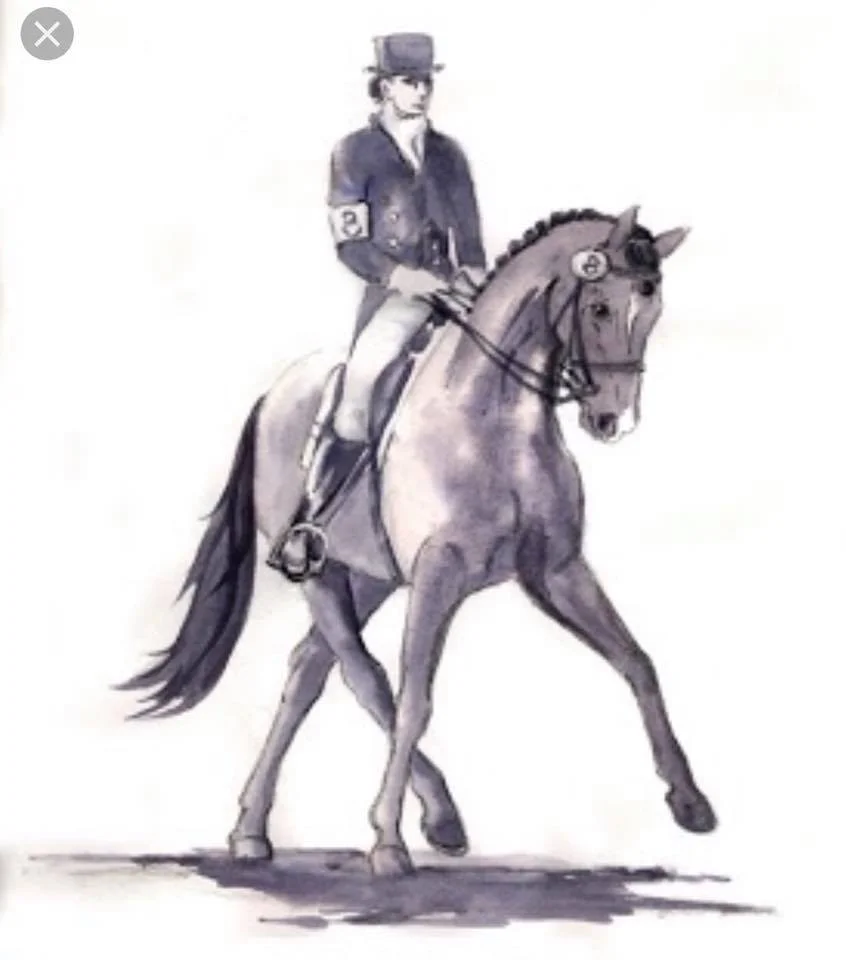 Dressage at RIO Lite Schooling Show