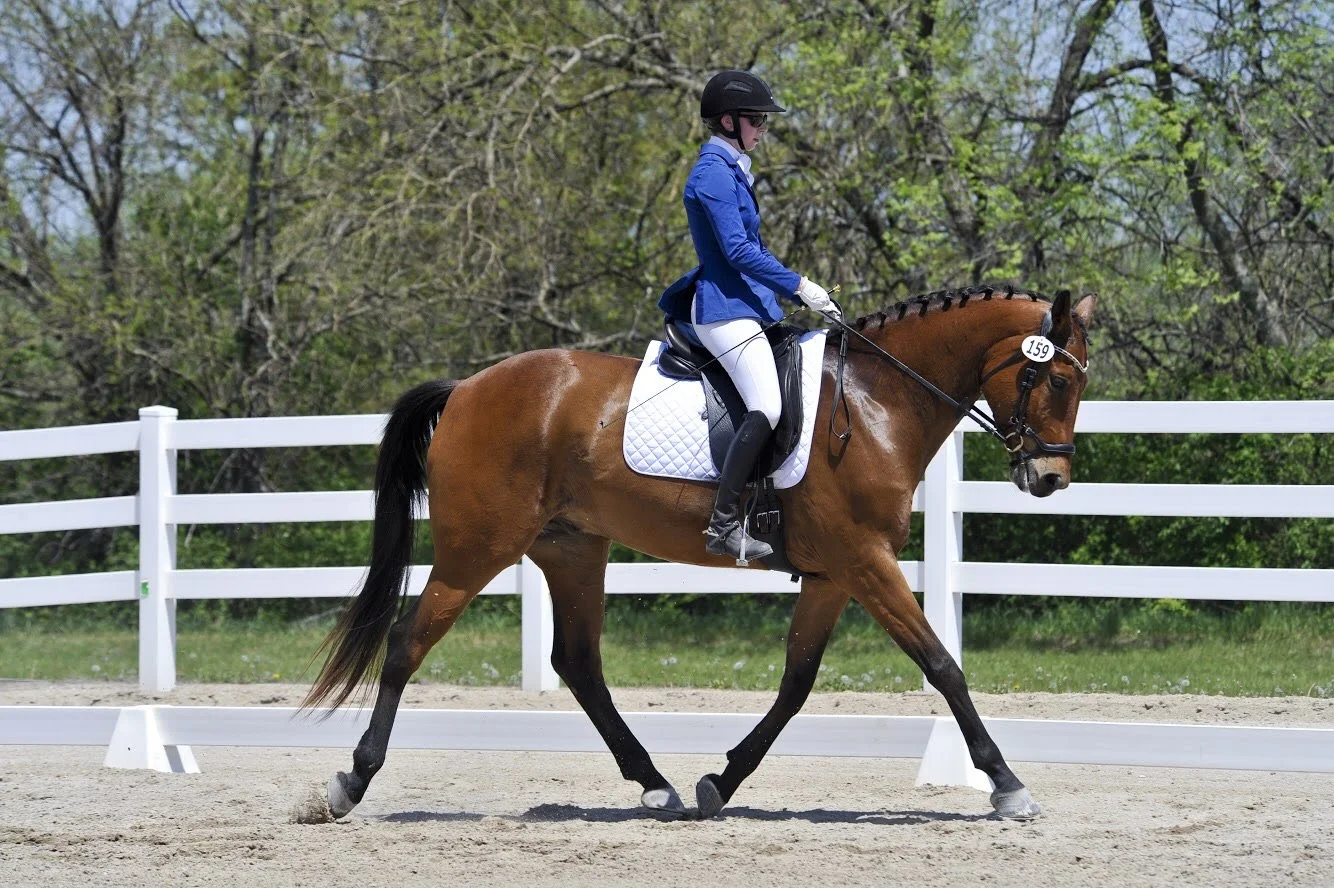 KCDS Summer Dressage I &amp; II