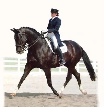 Amy Larson Clinic