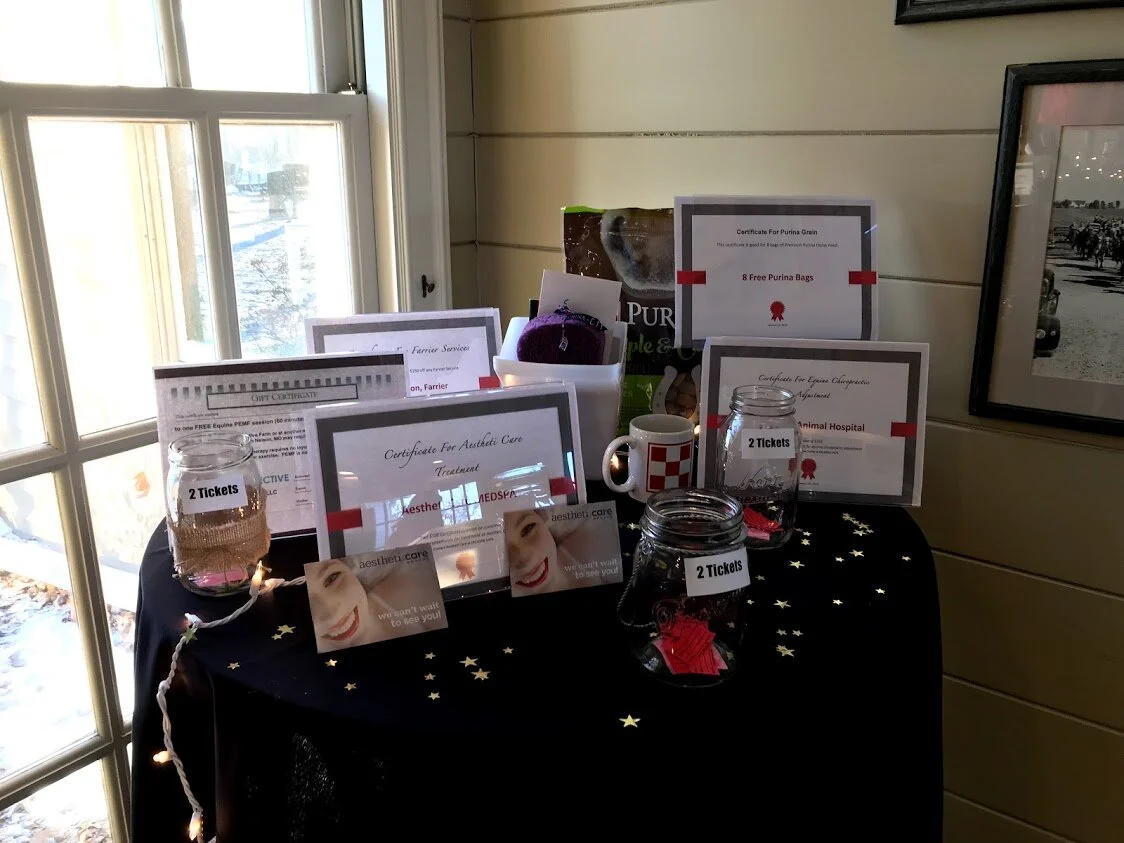 KCDS Annual Auction & Fundraiser