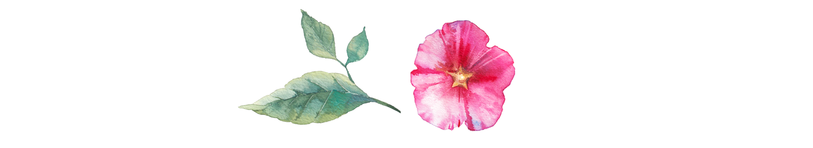 Peony-Div-1 copy.png