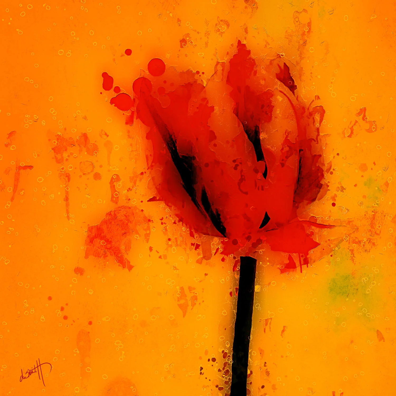 THIRD TULIP