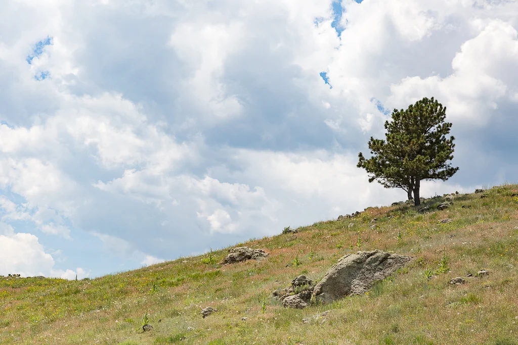 rustic-destination-wedding-colorado-013-1.jpg