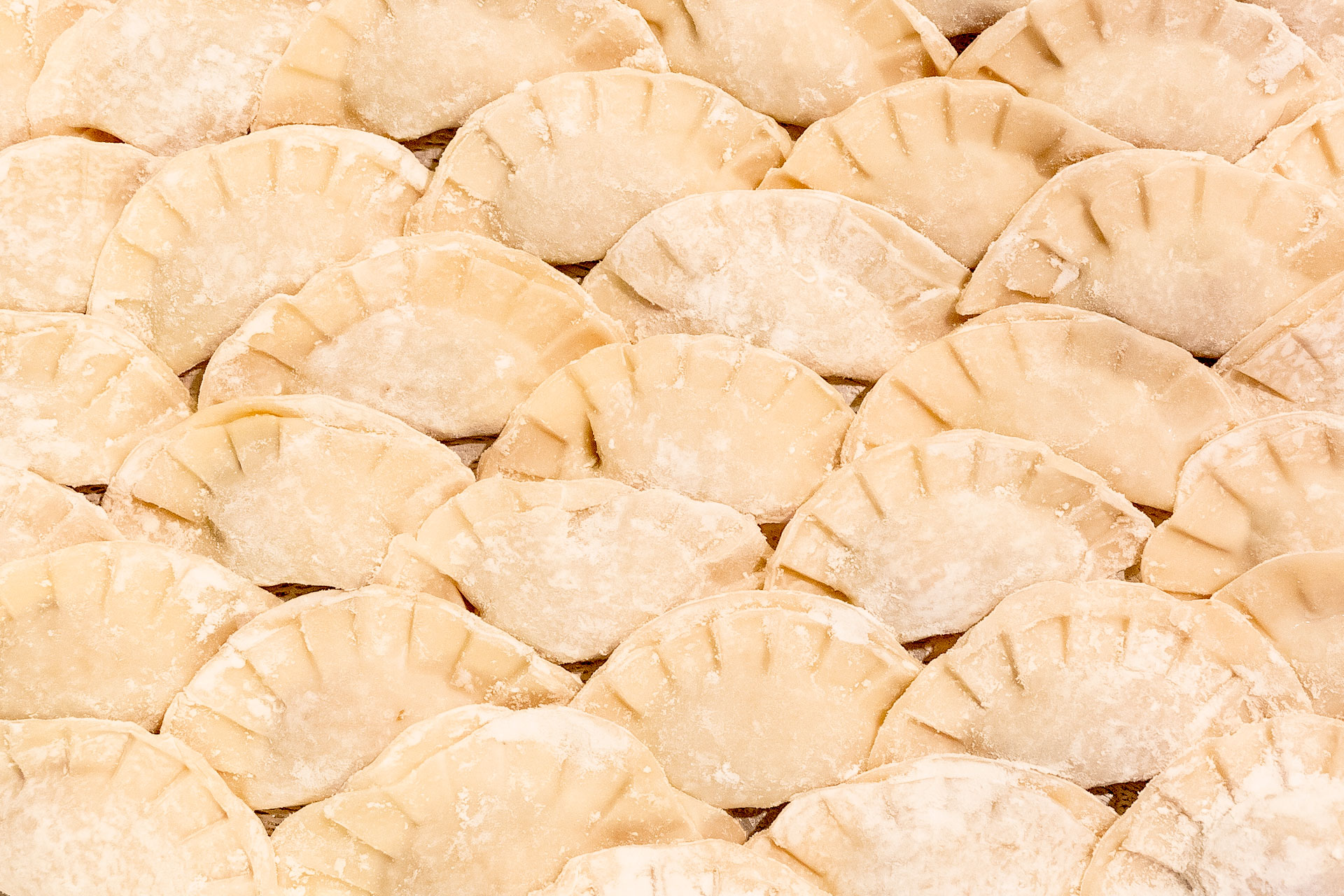 the-ginger-pig-food-truck-potstickers-web.jpg
