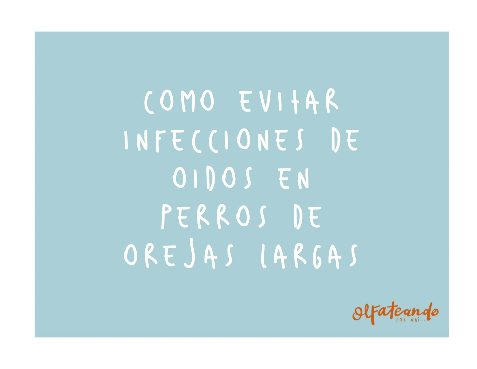 ¿Cómo evitar infecciones de oídos en perros de orejas largas?