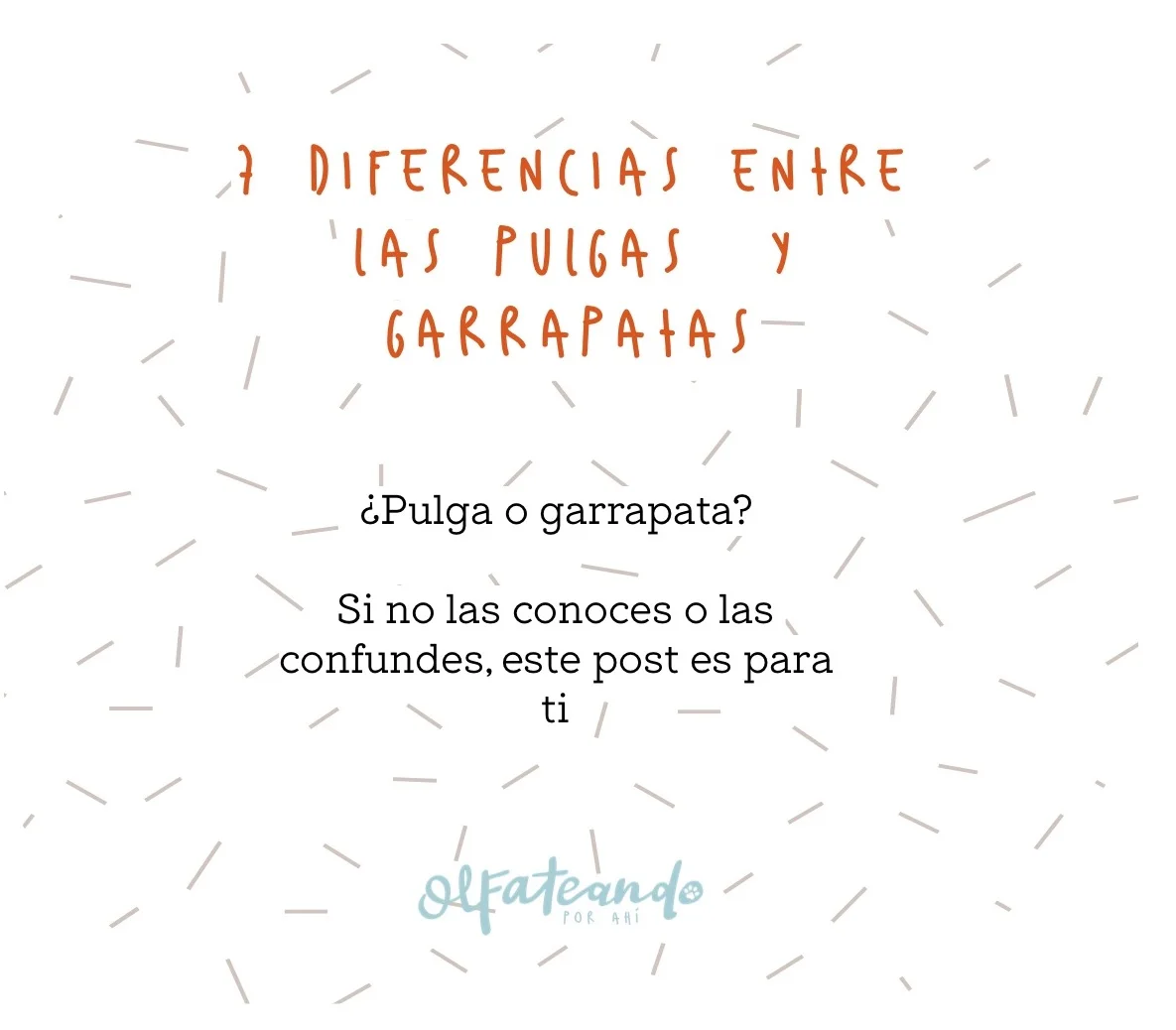 7 diferencias entre las pulgas y garrapatas