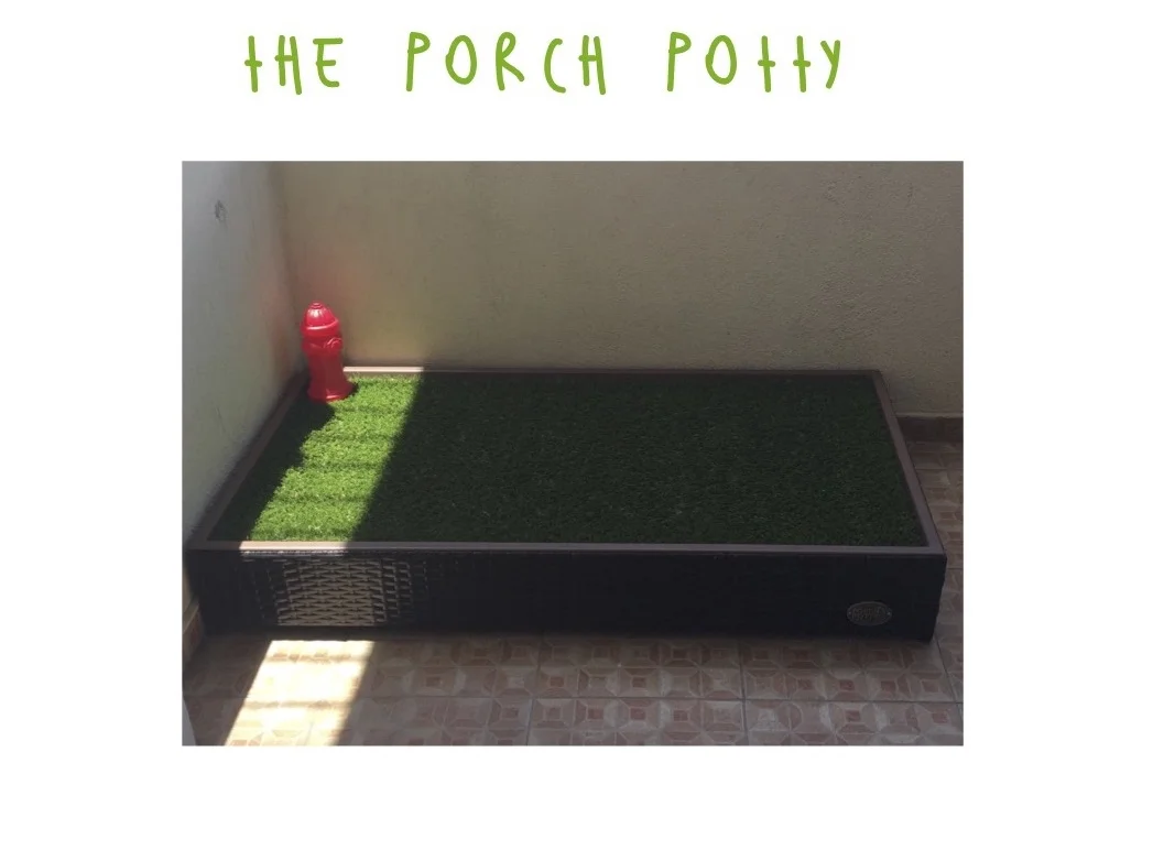 El Porch Potty: 1ª parte 