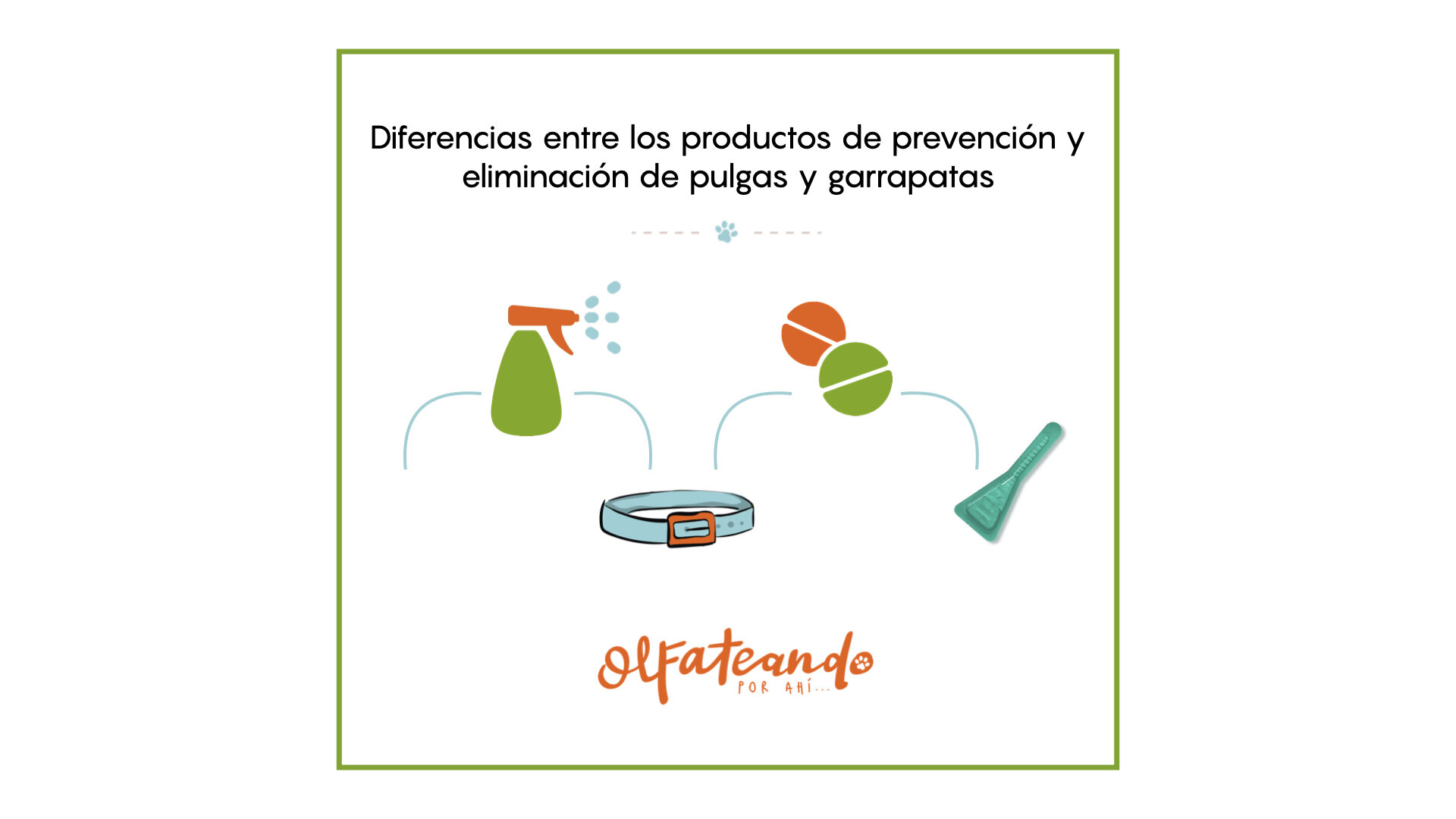 Diferencias entre los productos de prevención y eliminación de Pulgas y Garrapatas