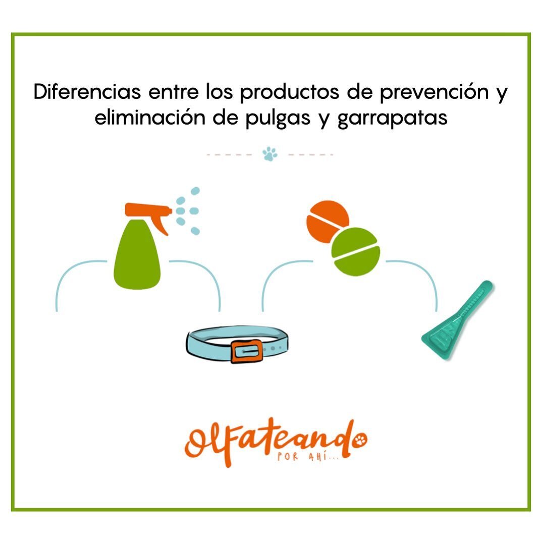 &iquest;Has tenido infestaciones de pulgas y garrapatas alguna vez? 👀
.
Si la respuesta es s&iacute;, sabes que hoy en d&iacute;a el mercado ofrece muchos productos con presentaciones distintas. Encontramos en spray, collar, pastillas y pipetas por 