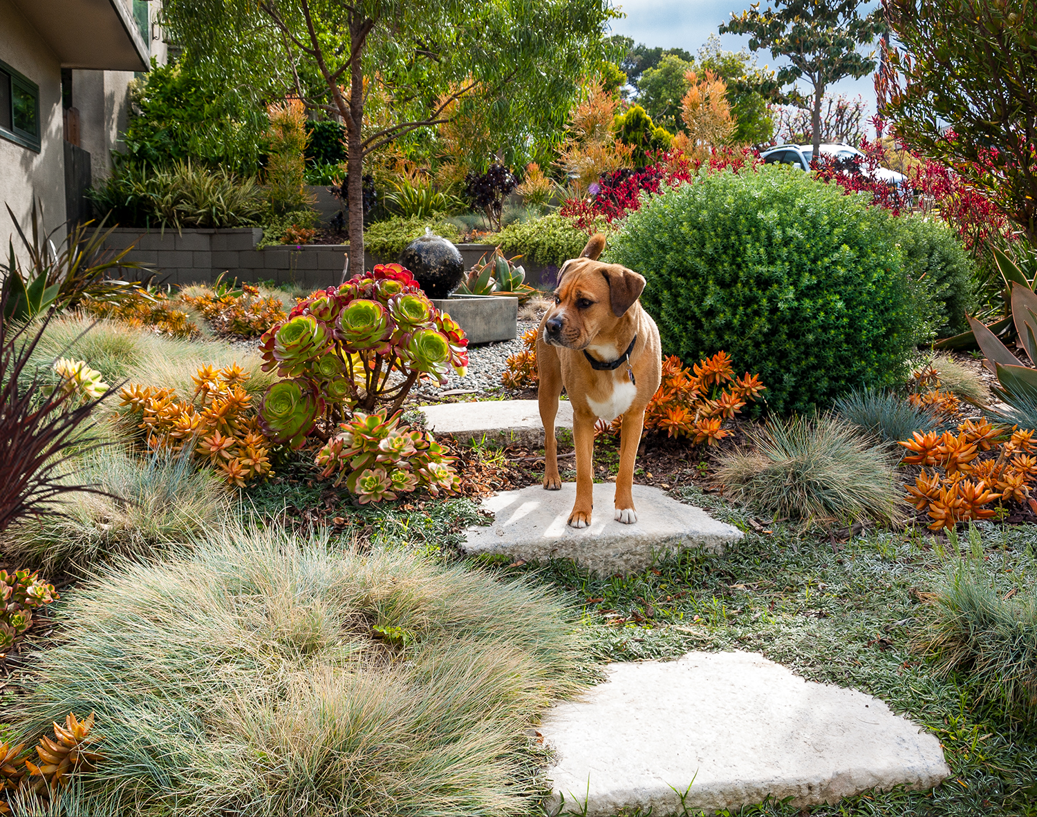 Ancient hand-hewn granite step stones from China lead to a semi-concealed fountain in the center of the space.